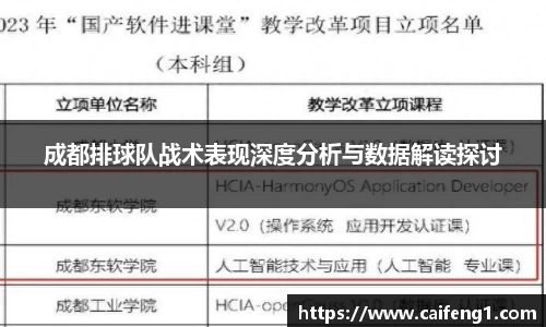 成都排球队战术表现深度分析与数据解读探讨