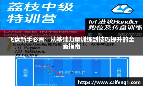 飞盘新手必看：从基础力量训练到技巧提升的全面指南