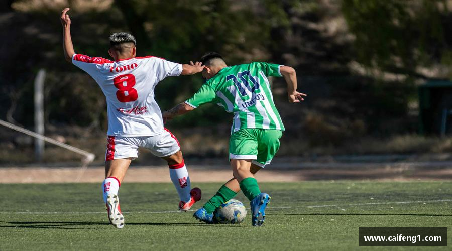 南宫大舞台官网入口永不放弃，追寻梦想